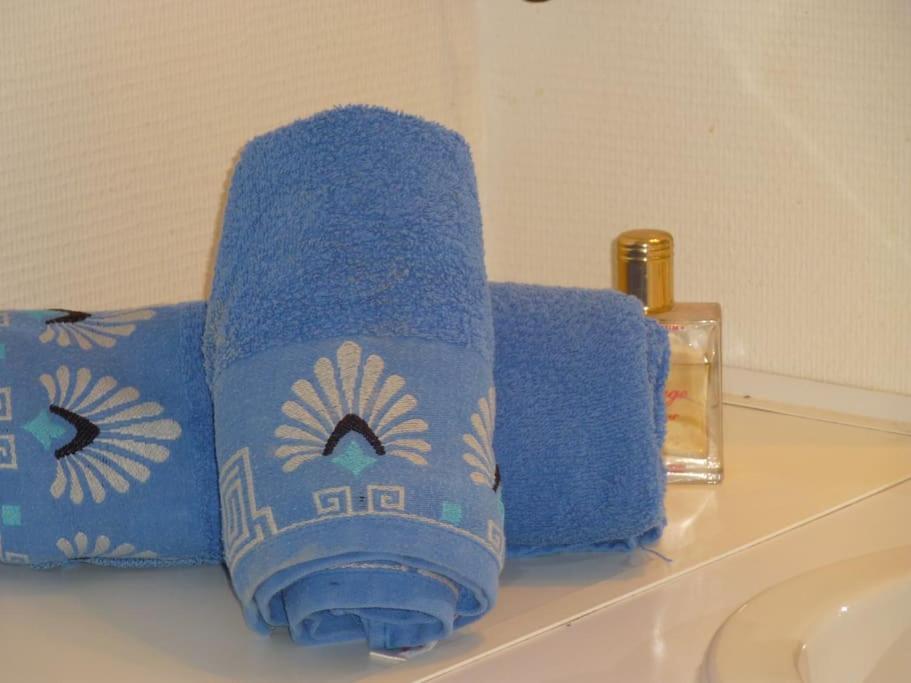Chambre Chez L'Habitant - Proche Du Centre - Salle D'Eau Et Wc Prives ボルドー エクステリア 写真