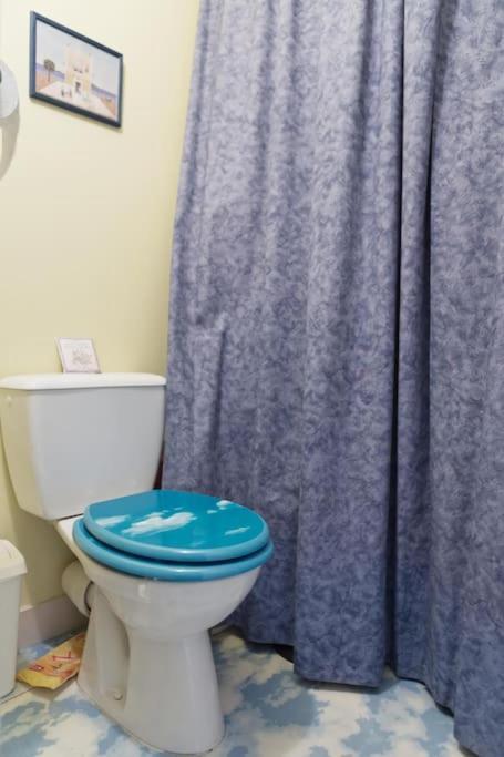 Chambre Chez L'Habitant - Proche Du Centre - Salle D'Eau Et Wc Prives ボルドー エクステリア 写真